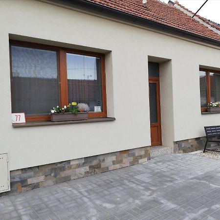 Apartman Lednicka Břeclav エクステリア 写真