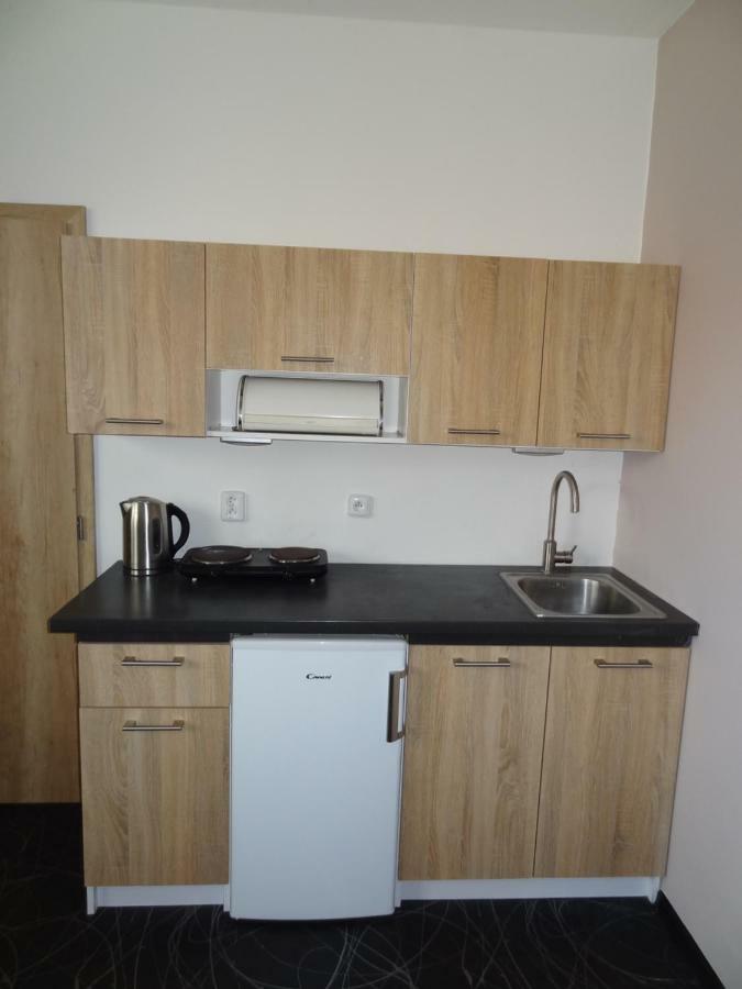 Apartman Lednicka Břeclav エクステリア 写真